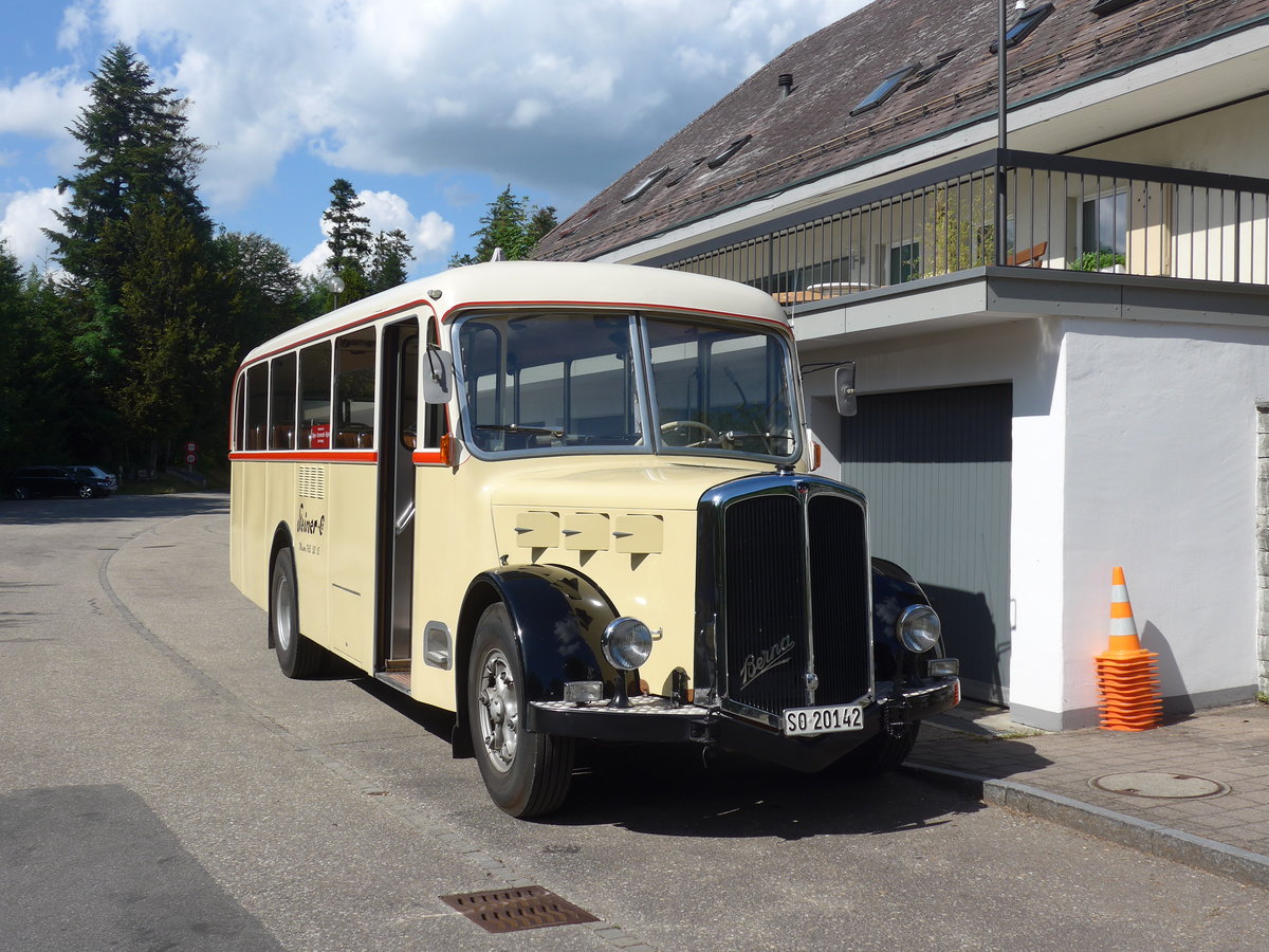 (207'540) - Steiner, Messen - SO 20'142 - Berna/Hess (ex B�rtschi, Biberen) am 7. Juli 2019 in Emmenmatt, Moosegg