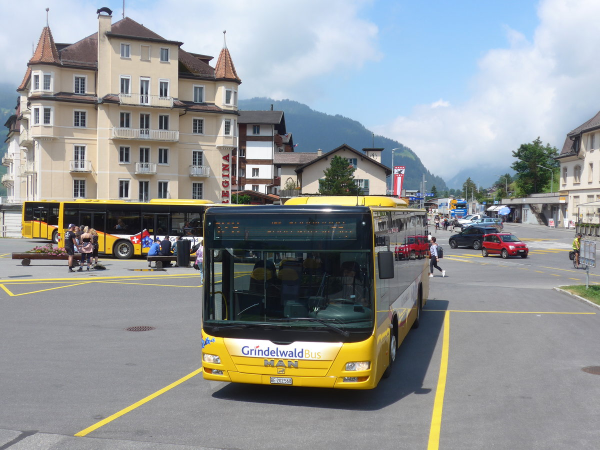 (207'696) - AVG Grindelwald - Nr. 14/BE 202'568 - MAN/G�ppel am 9. Juli 2019 beim Bahnhof Grindelwald