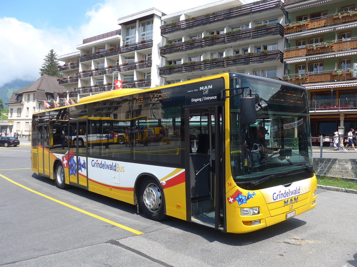 (207'697) - AVG Grindelwald - Nr. 14/BE 202'568 - MAN/G�ppel am 9. Juli 2019 beim Bahnhof Grindelwald