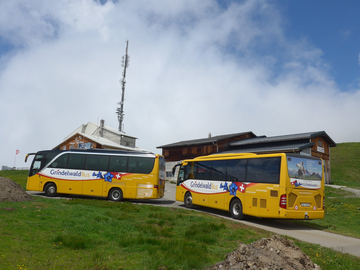 (207'699) - AVG Grindelwald - Nr. 26/BE 268'737 - Setra + Nr. 25/BE 73'249 - Mercedes am 9. Juli 2019 auf dem M�nnlichen