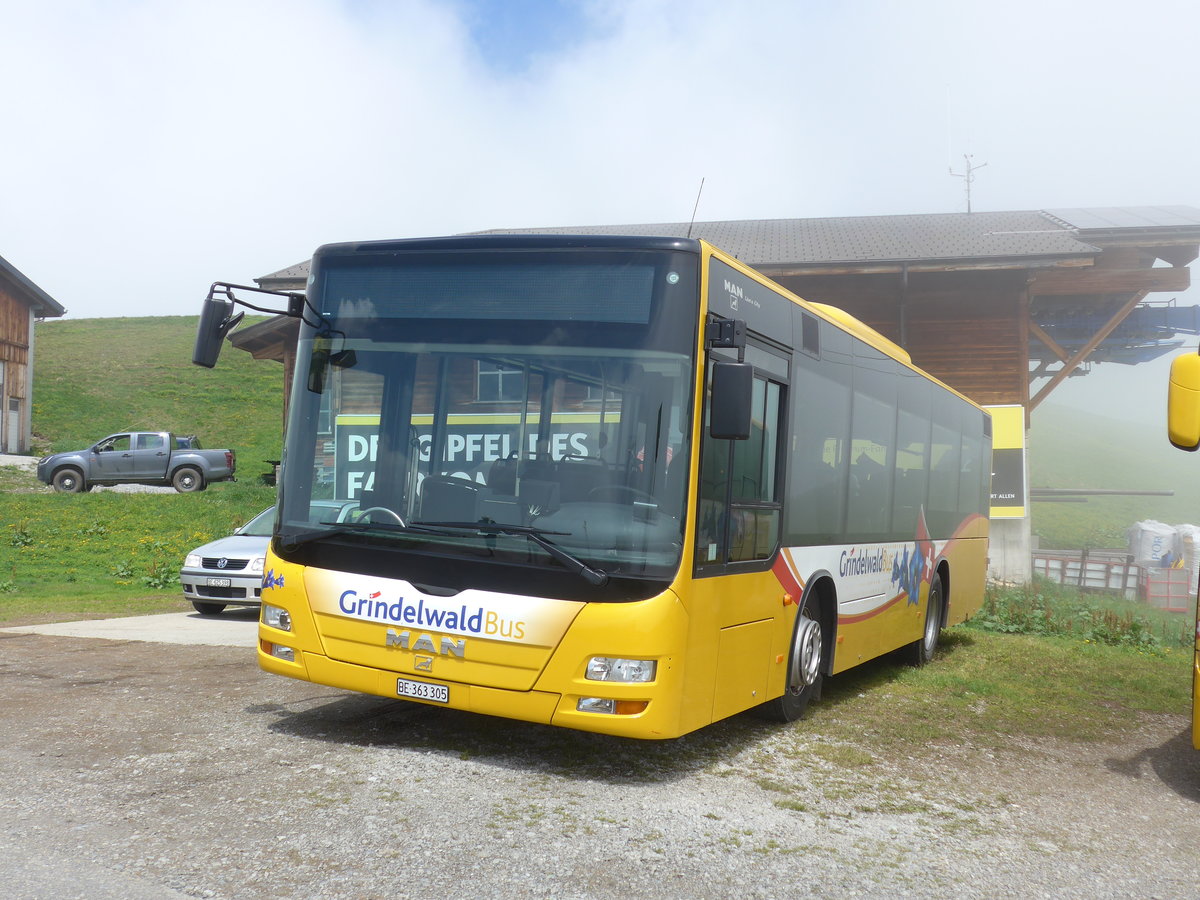 (207'701) - AVG Grindelwald - Nr. 19/BE 363'305 - MAN/G�ppel am 9. Juli 2019 auf dem M�nnlichen