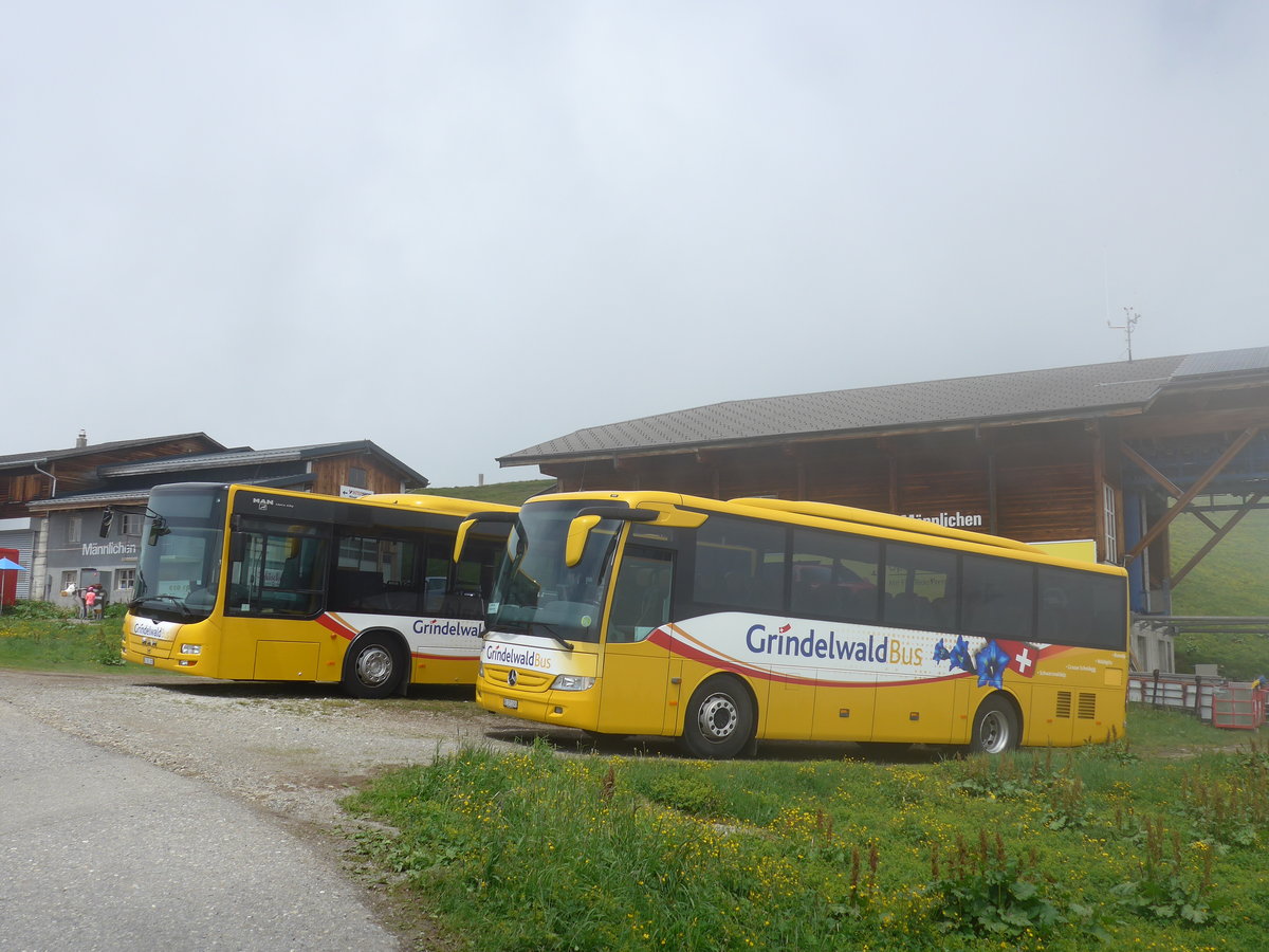 (207'704) - AVG Grindelwald - Nr. 30/BE 171'240 - Mercedes am 9. Juli 2019 auf dem M�nnlichen