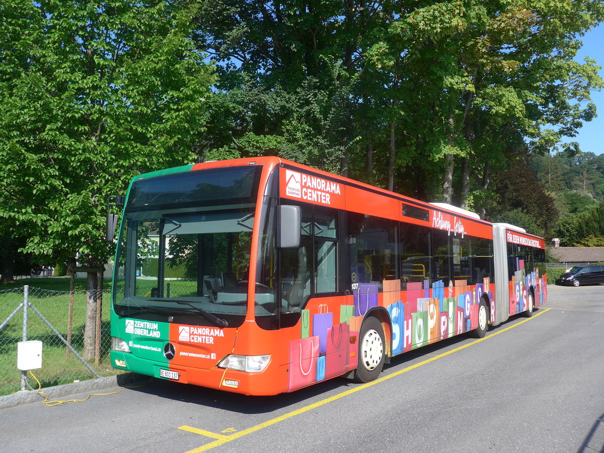 (209'078) - STI Thun - Nr. 137/BE 801'137 - Mercedes am 24. August 2019 bei der Schiffl�ndte Thun