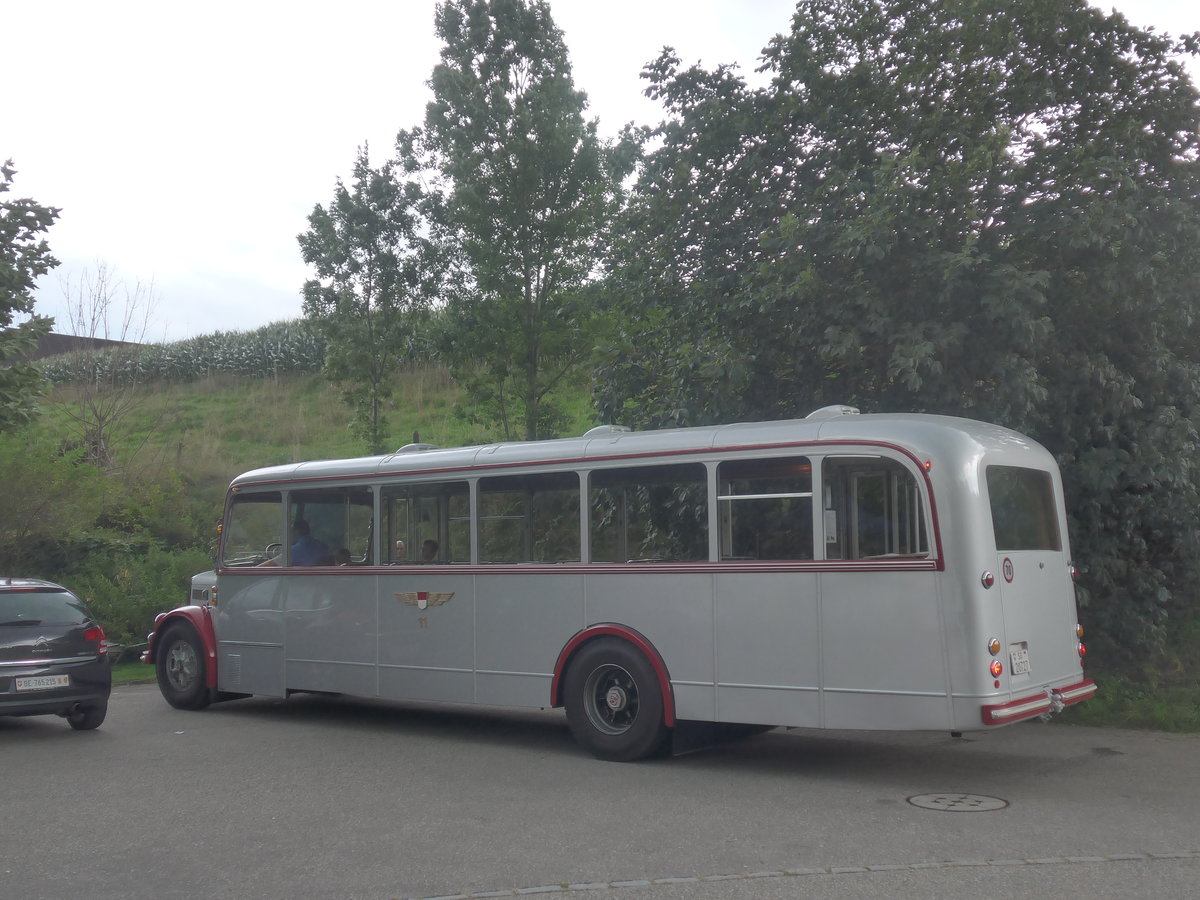 (209'293) - BSU Solothurn - Nr. 11/SO 20'727 - FBW/Hess am 1. September 2019 in Heimiswil, L�wen