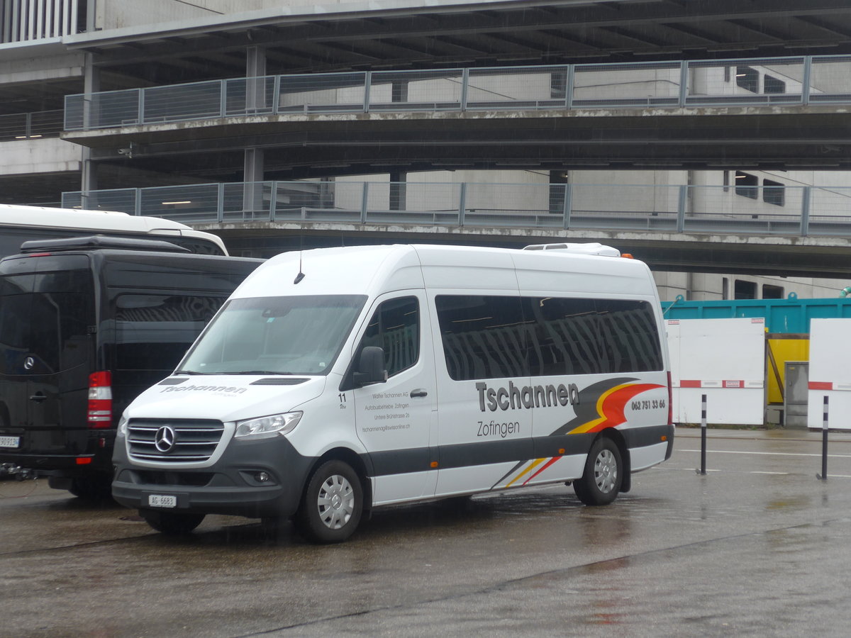 (209'412) - Tschannen, Zofingen - Nr. 11/AG 6683 - Mercedes am 8. September 2019 in Z�rich, Flughafen