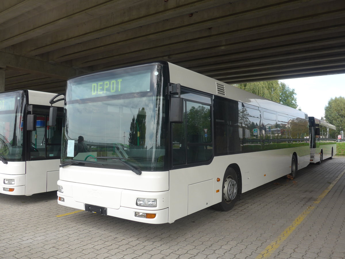 (210'248) - Interbus, Yverdon - MAN (ex transN, La Chaux-de-Fonds Nr. 203; ex TN Neuch�tel Nr. 203) am 12. Oktober 2019 in Kerzers, Murtenstrasse
