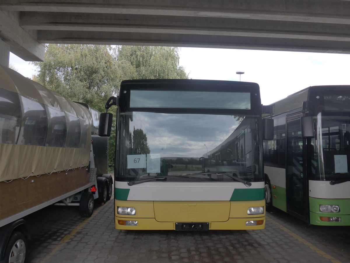 (210'250) - transN, La Chaux-de-Fonds - Nr. 206 - MAN (ex TN Neuch�tel Nr. 206) am 12. Oktober 2019 in Kerzers, Murtenstrasse