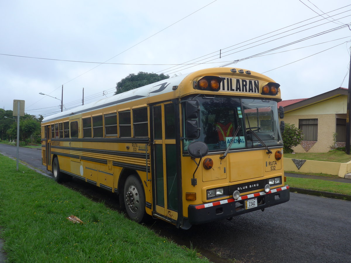 (211'316) - Transportes Tilar�n, Tilar�n - 2342 - Bluebird am 15. November 2019 in Nuevo Arenal