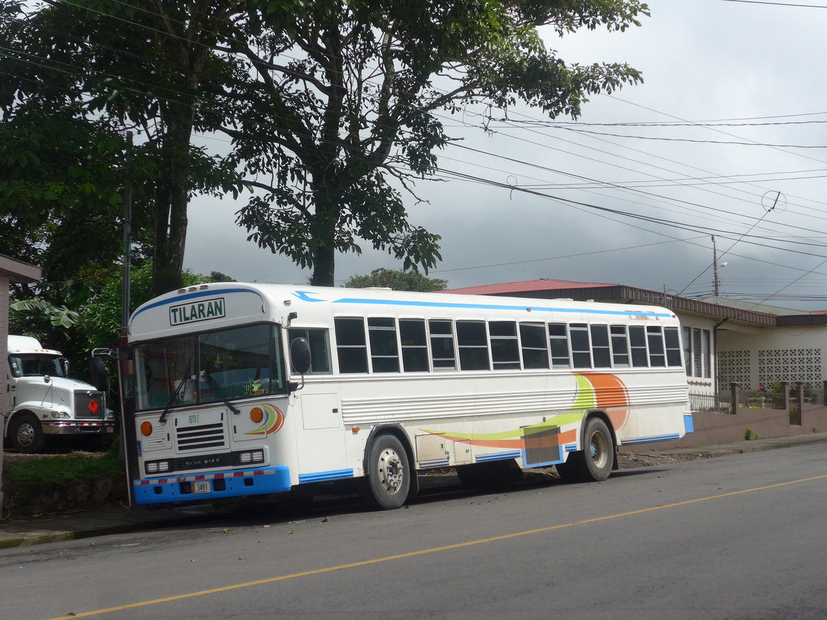 (211'329) - Transportes Tilar�n, Tilar�n - 3491 - Bluebird am 15. November 2019 in Tilar�n