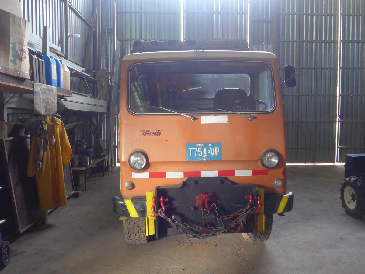 (211'645) - Wespe, Rio J�sus - T751 VP - Meili (ex VBSG St. Gallen/CH) am 19. November 2019 in Rio J�sus, Garage