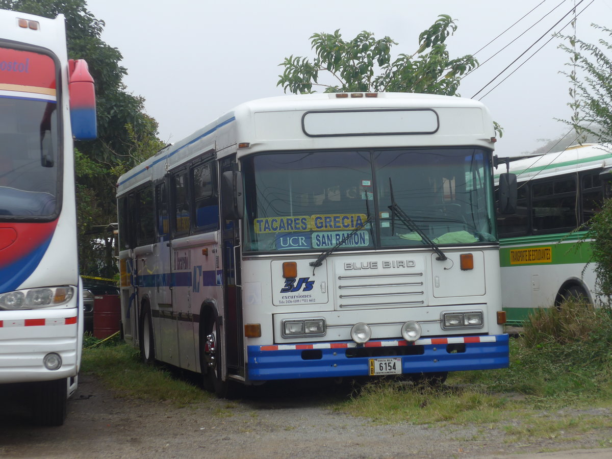 (211'664) - 3 J's excursiones - 6154 - Bluebird am 19. November 2019 in San Juan, Freigel�nde