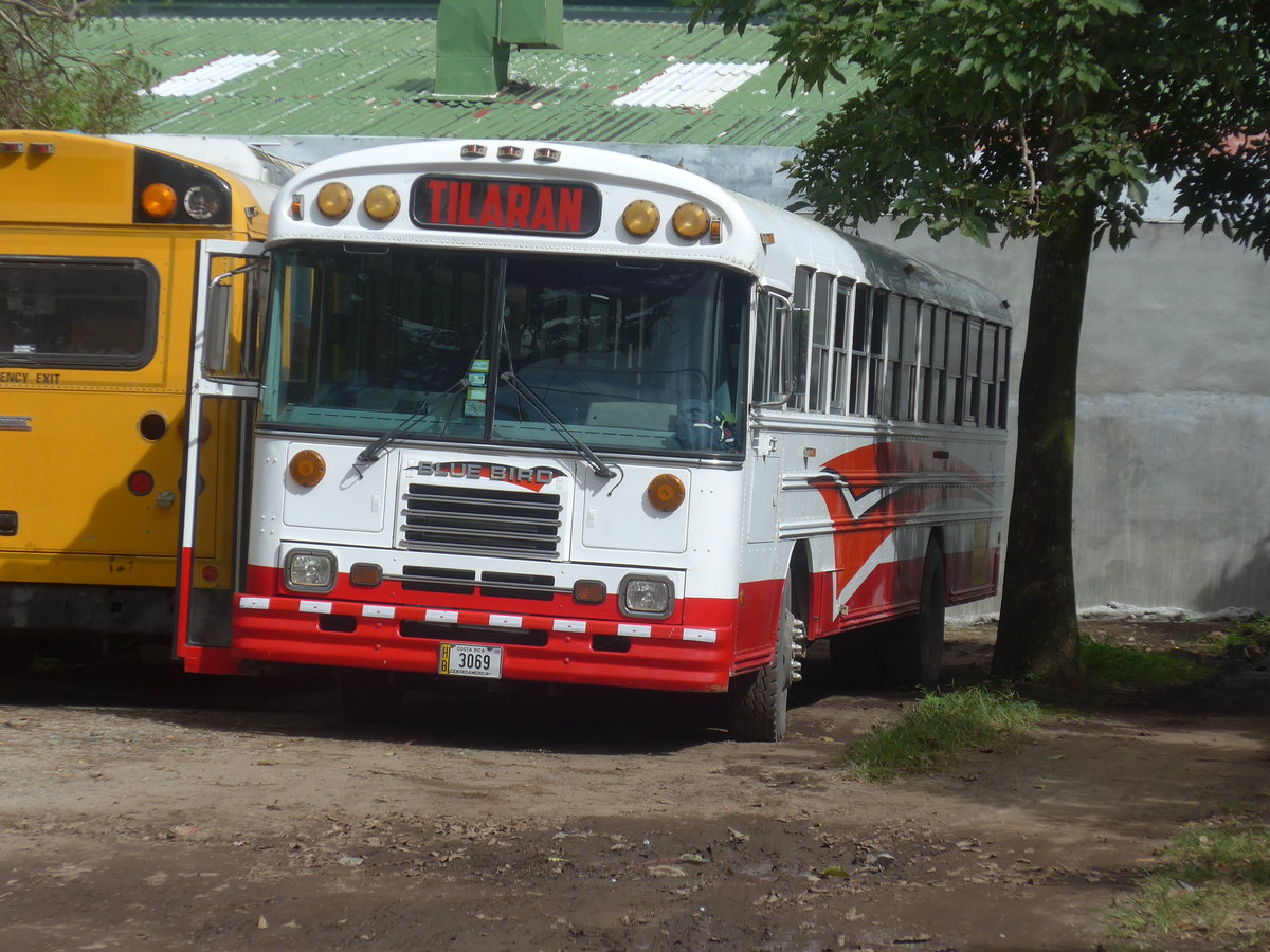 (211'851) - Transportes Tilar�n, Tilar�n - 3069 - Bluebird am 21. November 2019 in Tilar�n, Freigel�nde