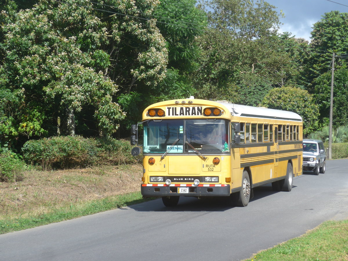 (212'288) - Transportes Tilar�n, Tilar�n - 2342 - Bluebird am 24. November 2019 in Nuevo Arenal, Los H�roes