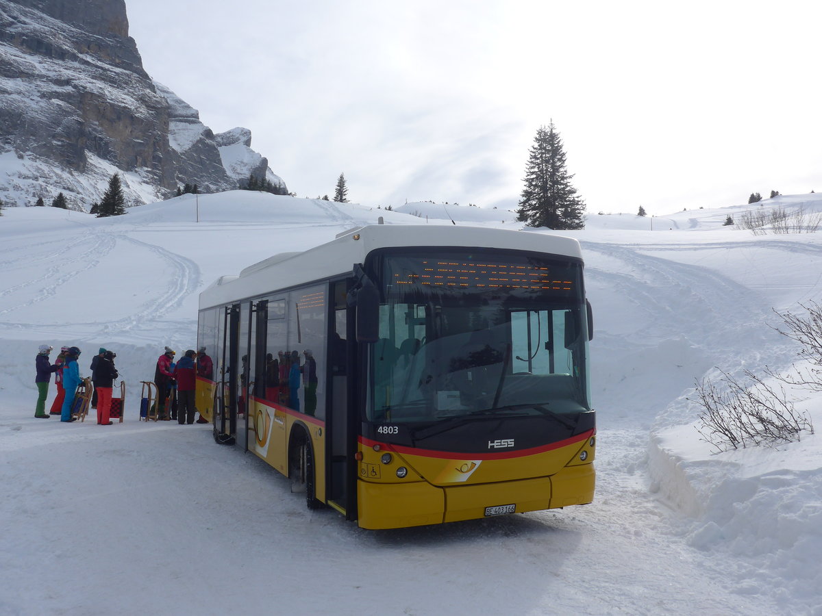(215'089) - PostAuto Bern - BE 403'166 - Scania/Hess (ex AVG Meiringen Nr. 66; ex Steiner, Messen) am 8. M�rz 2020 in Grindelwald, Sch�rmstutz