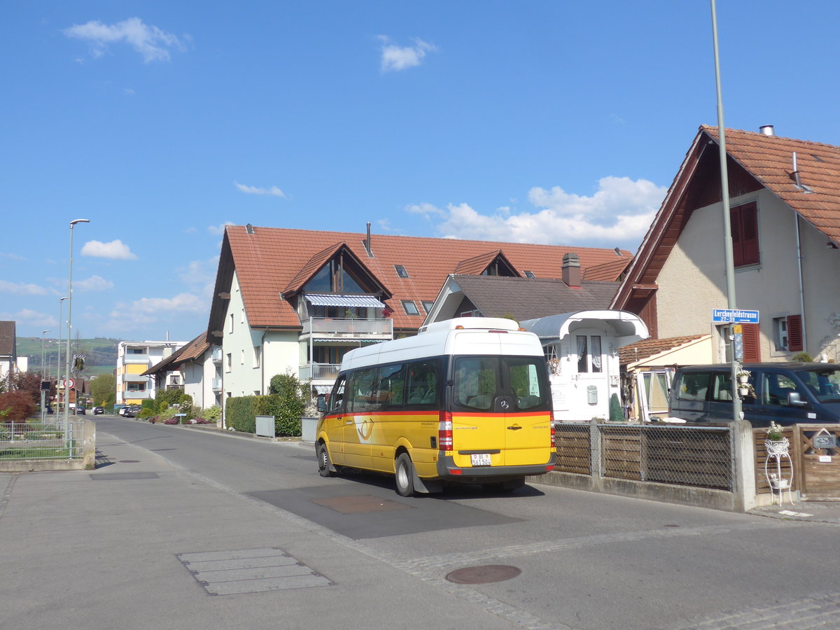 (216'014) - L�di, Uetendorf - BE 561'504 - Mercedes am 11. April 2020 in Thun-Lerchenfeld, Lerchenfeldstrasse