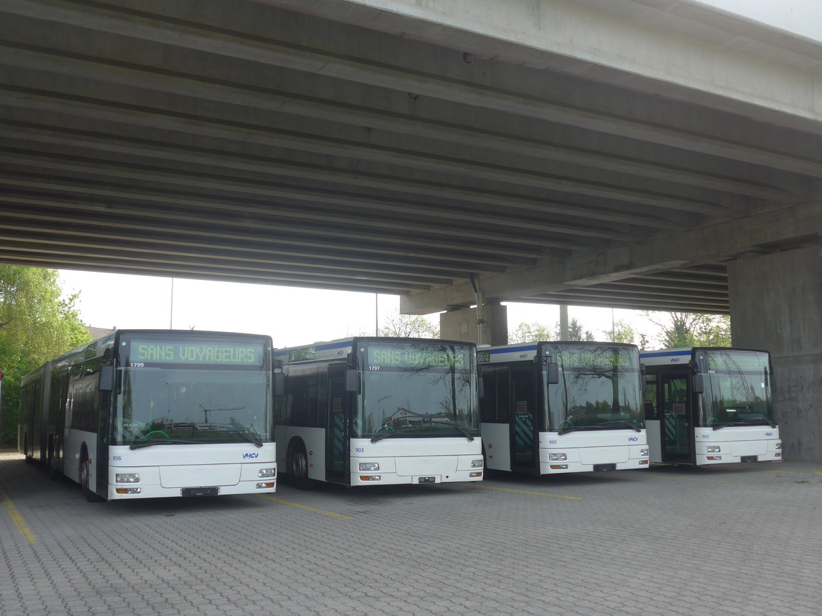 (216'260) - VMCV Clarens - Nr. 906 - MAN (ex transN, La Chaux-de-Fonds Nr. 243; ex TN Neuch�tel Nr. 243) am 19. April 2020 in Kerzers, Murtenstrasse