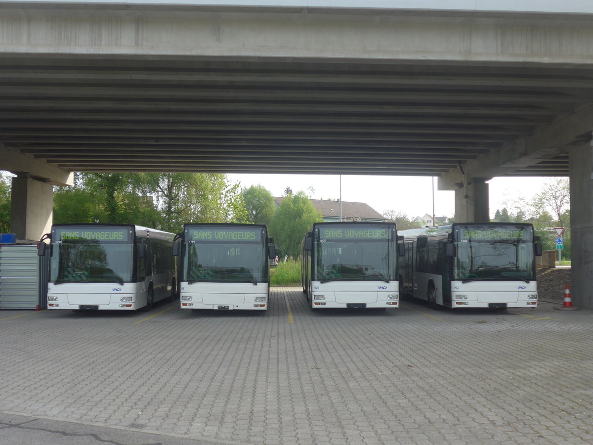 (216'270) - VMCV Clarens - Nr. 906 - MAN (ex transN, La Chaux-de-Fonds Nr. 243; ex TN Neuch�tel Nr. 243) + Nr. 903 - MAN (ex transN, La Chaux-de-Fonds Nr. 242; ex TN Neuch�tel Nr. 243) + Nr. 905 - MAN (ex transN, La Chaux-de-Fonds Nr. 245; ex TN Neuch�tel Nr. 245) + Nr. 902 - MAN (ex transN, La Chaux-de-Fonds Nr. 246; ex TN Neuch�tel Nr. 246) am 19. April 2020 in Kerzers, Murtenstrasse