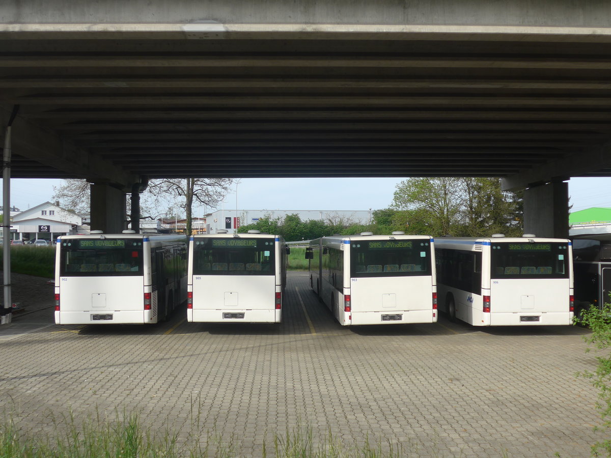 (216'271) - VMCV Clarens - Nr. 902 - MAN (ex transN, La Chaux-de-Fonds Nr. 246; ex TN Neuch�tel Nr. 246) + Nr. 905 - MAN (ex transN, La Chaux-de-Fonds Nr. 245; ex TN Neuch�tel Nr. 245) + Nr. 903 - MAN (ex transN, La Chaux-de-Fonds Nr. 242; ex TN Neuch�tel Nr. 242) + Nr. 906 - MAN (ex transN, La Chaux-de-Fonds Nr. 243; ex TN Neuch�tel Nr. 243) am 19. April 2020 in Kerzers, Murtenstrasse