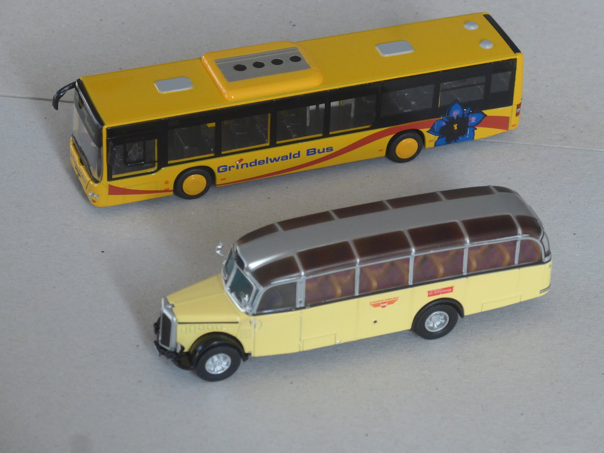 (216'402) - Grindelwaldbus, Grindelwald - BE 382'872 - MAN + AVG Grindelwald - BE 82'916 - Saurer/Gangloff (ex P 23'128; ex P 2195) am 23. April 2020 in Thun (Modelle)