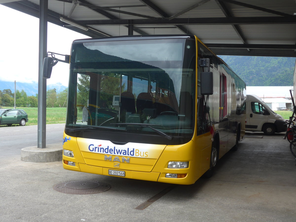 (216'776) - Grindelwaldbus, Grindelwald - Nr. 14/BE 202'568 - MAN/G�ppel am 3. Mai 2020 in Interlaken, Postgarage