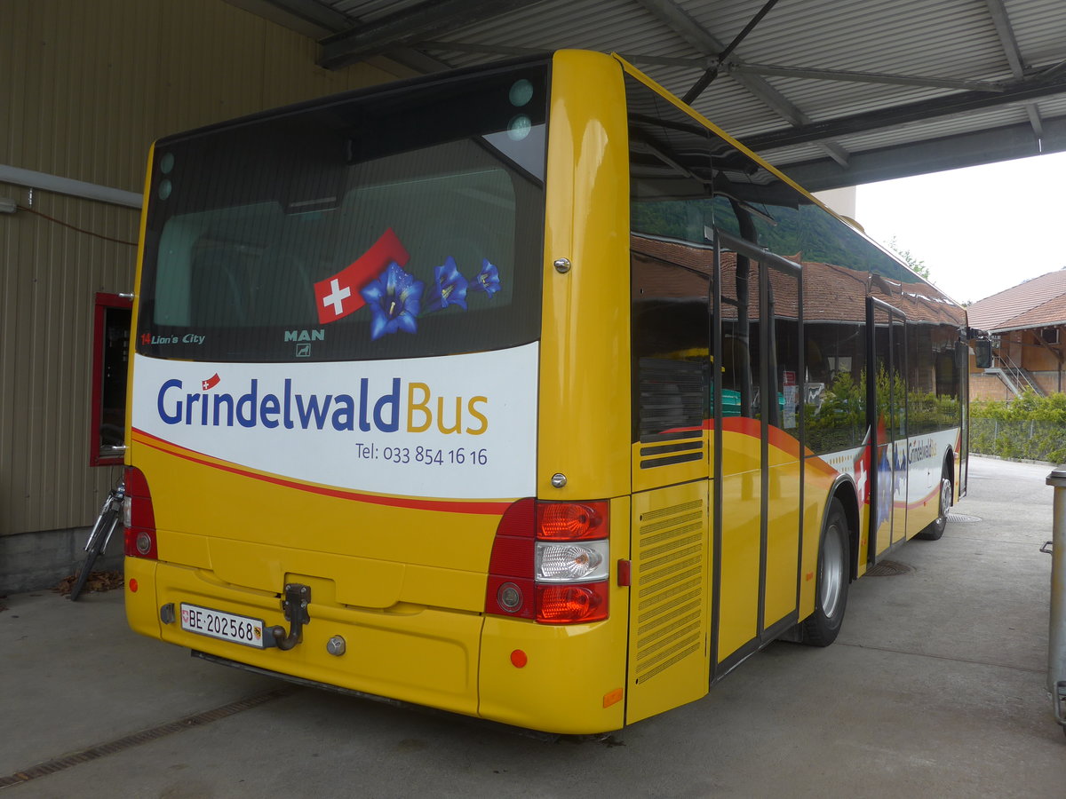 (216'777) - Grindelwaldbus, Grindelwald - Nr. 14/BE 202'568 - MAN/G�ppel am 3. Mai 2020 in Interlaken, Postgarage
