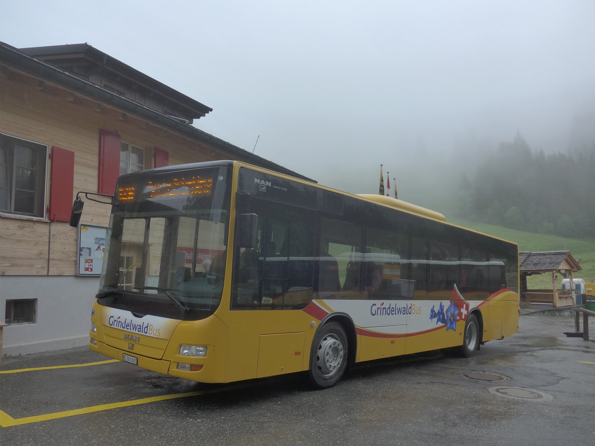 (217'628) - Grindelwaldbus, Grindelwald - Nr. 11/BE 261'865 - MAN/G�ppel am 7. Juni 2020 auf der Schwarzwaldalp