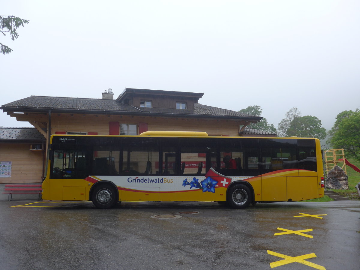 (217'630) - Grindelwaldbus, Grindelwald - Nr. 11/BE 261'865 - MAN/G�ppel am 7. Juni 2020 auf der Schwarzwaldalp