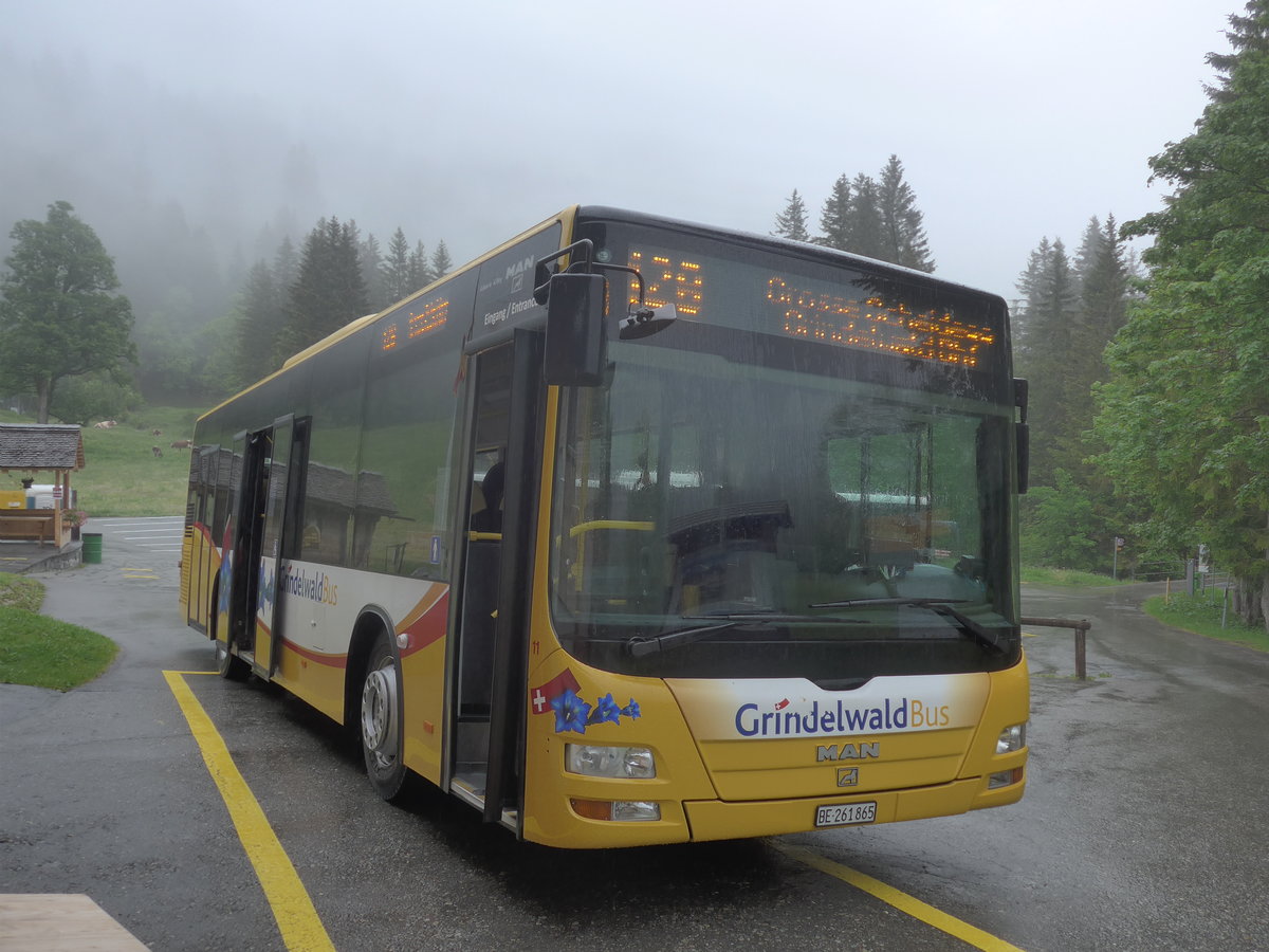 (217'633) - Grindelwaldbus, Grindelwald - Nr. 11/BE 261'865 - MAN/G�ppel am 7. Juni 2020 auf der Schwarzwaldalp