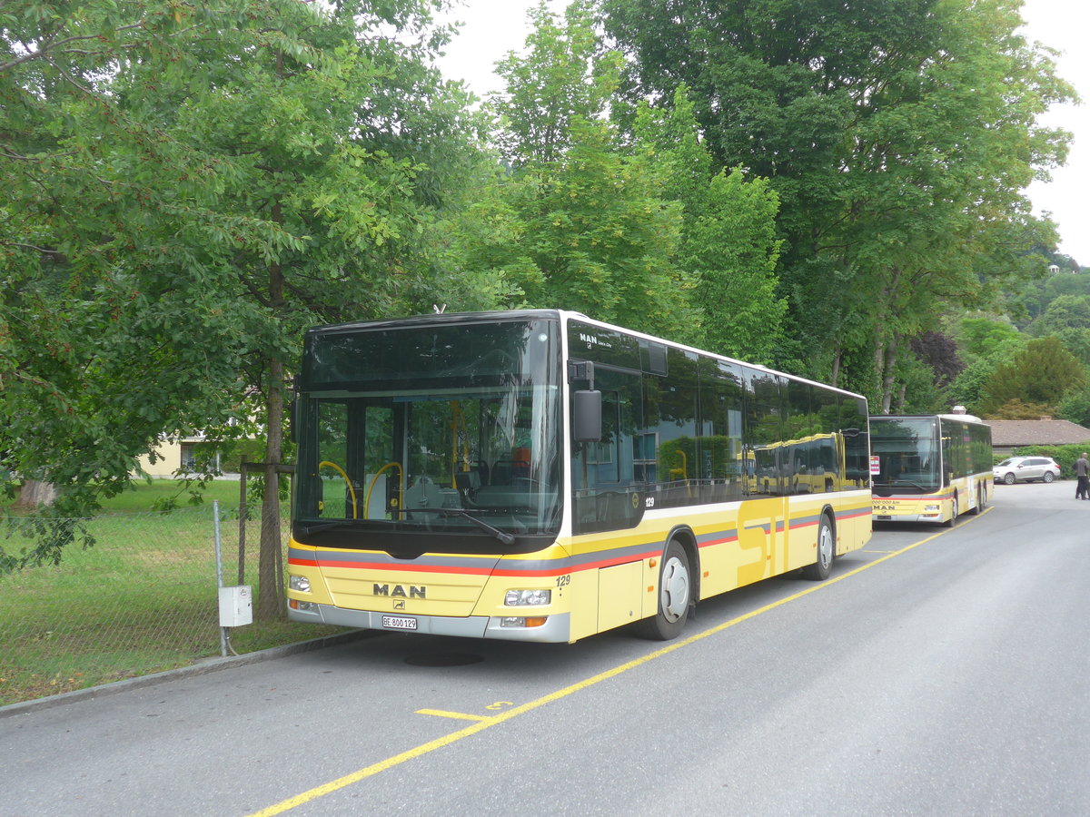 (218'035) - STI Thun - Nr. 129/BE 800'129 - MAN am 15. Juni 2020 bei der Schiffl�ndte Thun