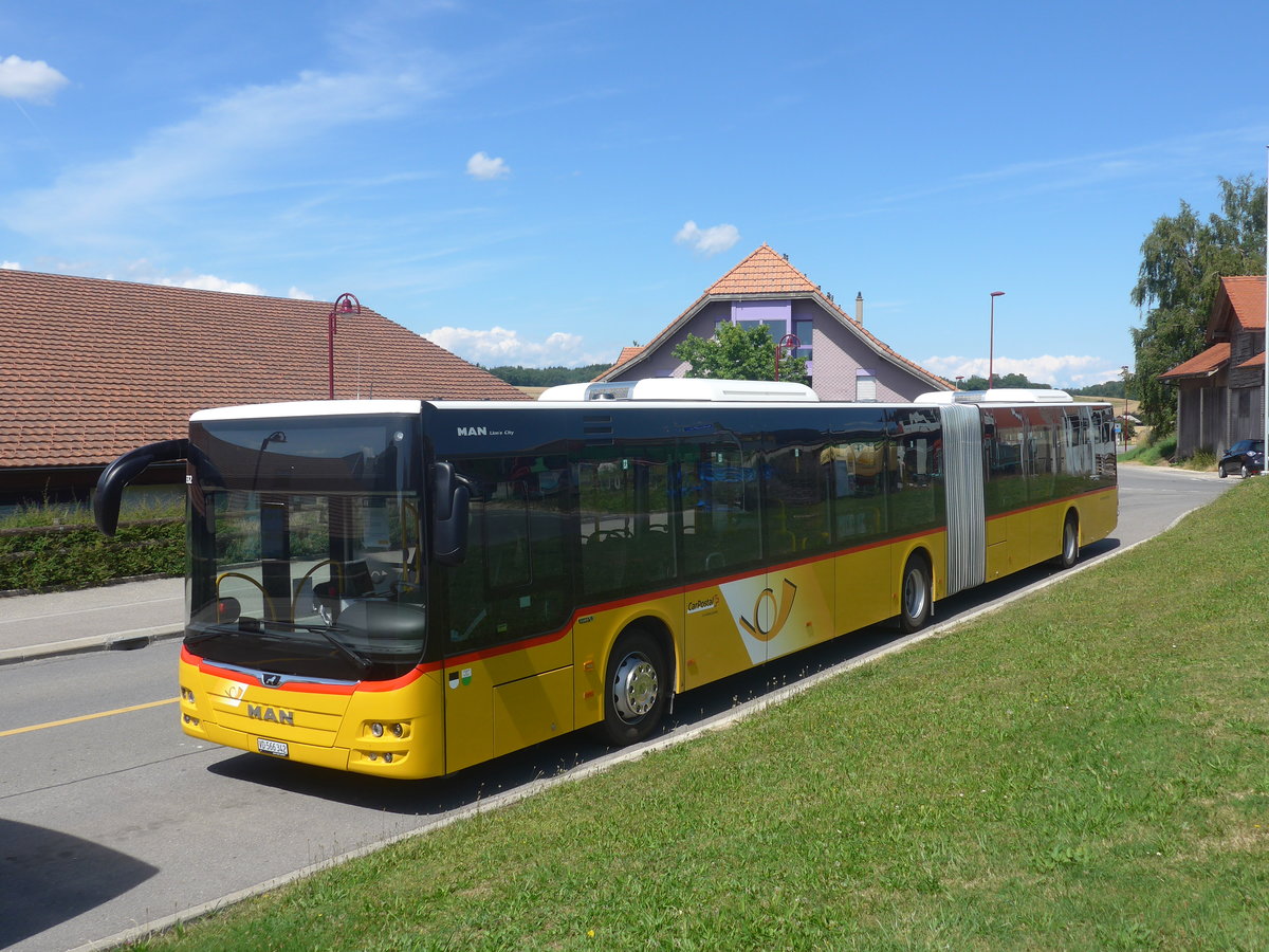 (219'028) - CarPostal Ouest - VD 566'342 - MAN am 25. Juli 2020 in Thierrens, Gare Routi�re