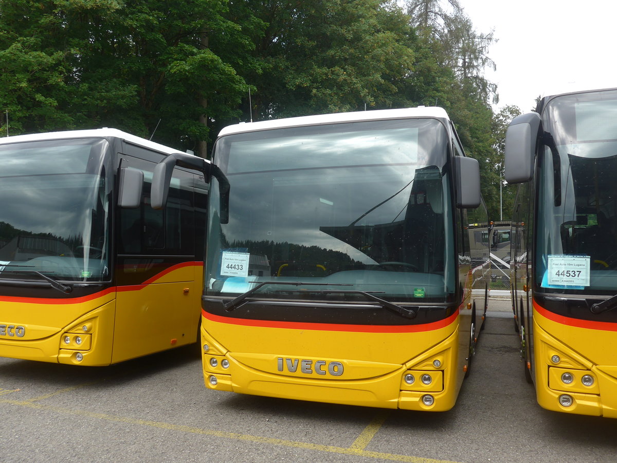 (219'354) - AutoPostale Ticino - PID 11'442 - Iveco am 2. August 2020 in Hendschiken, Iveco