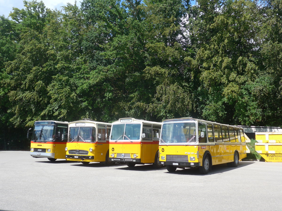 (220'096) - Wittig, N�rensdorf - ZH 205'322 - FBW/FHS (ex Tiemann, Oetwil Nr. 6; ex B�tra, Bill Nr. 28; ex Autocca, Visp; ex P 24'186) am 23. August 2020 in Burgdorf, �kihof Ziegelgut