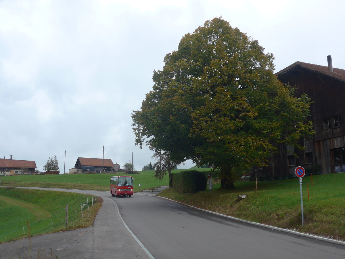 (221'851) - Biegger, Uster - Nr. 31/GL 1946 - Setra (ex AFA Adelboden Nr. 31; ex AFA Adelboden Nr. 10; ex Fr�hlich, Z�rich) am 12. Oktober 2020 in Gh�ch, Gh�chstrasse