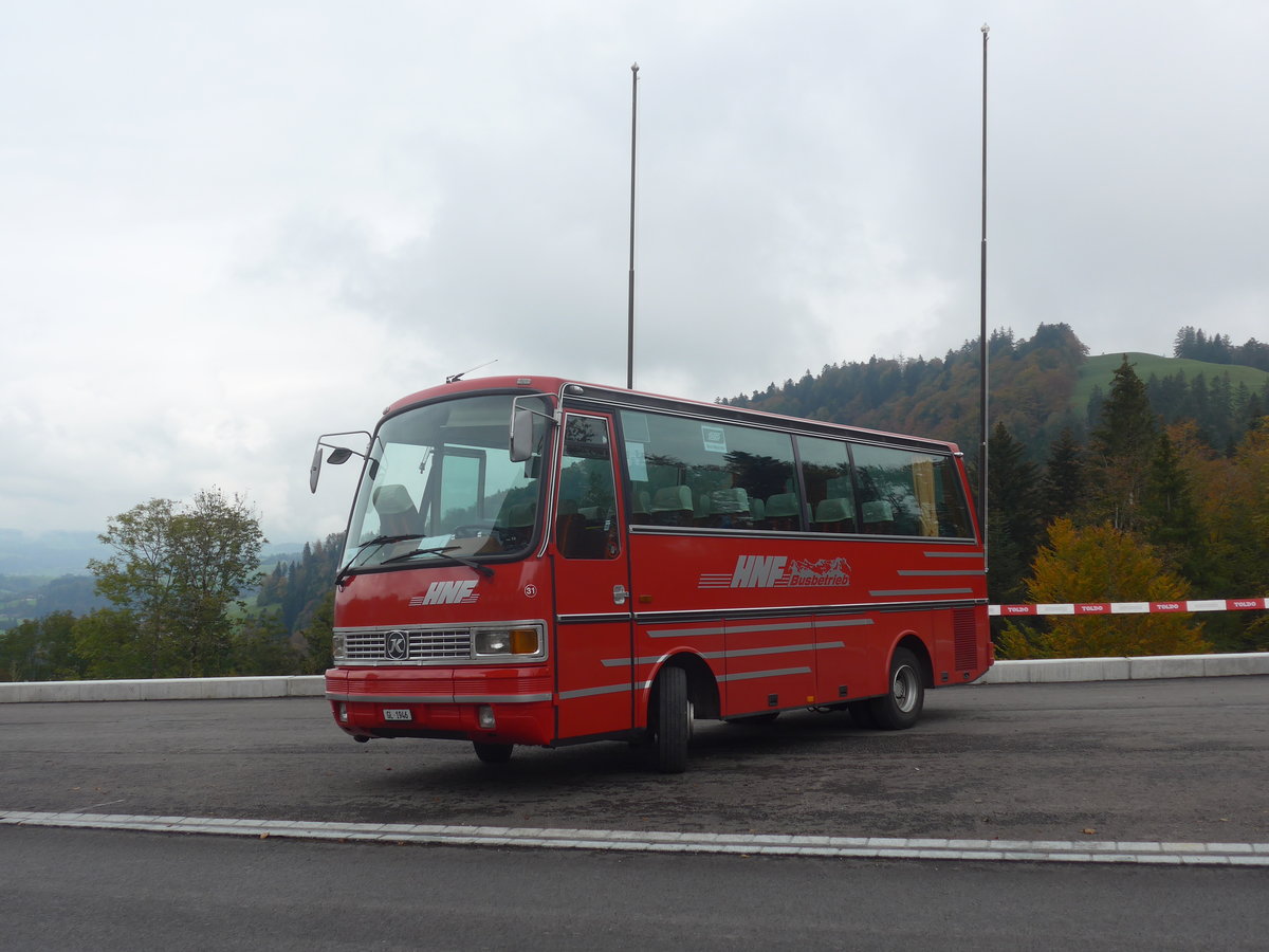 (221'853) - Biegger, Uster - Nr. 31/GL 1946 - Setra (ex AFA Adelboden Nr. 31; ex AFA Adelboden Nr. 10; ex Fr�hlich, Z�rich) am 12. Oktober 2020 in M�hlr�ti, Hulftegg