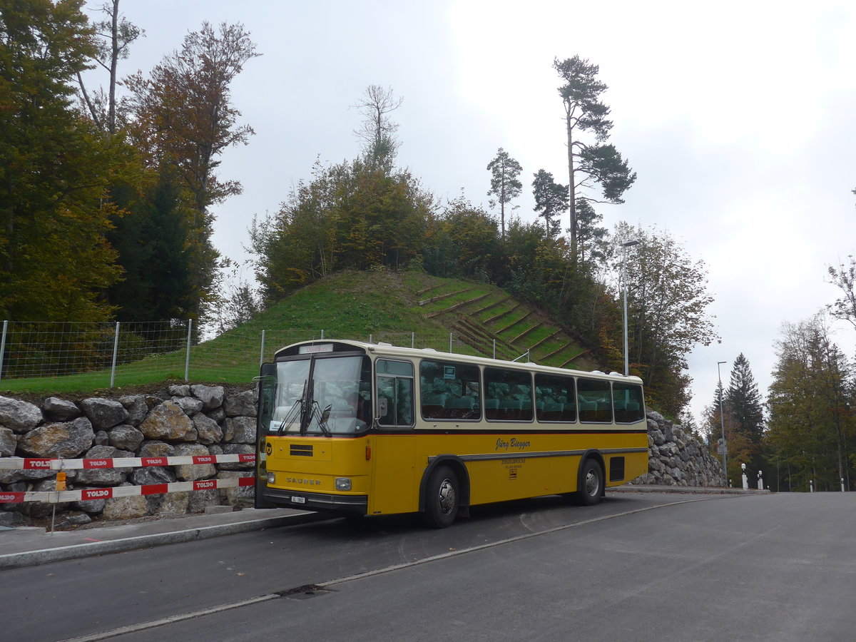 (221'972) - Biegger, Uster - Nr. 9/GL 1802 - Saurer/R&J (ex P 24'366) am 18. Oktober 2020 in M�hlr�ti, Hulftegg