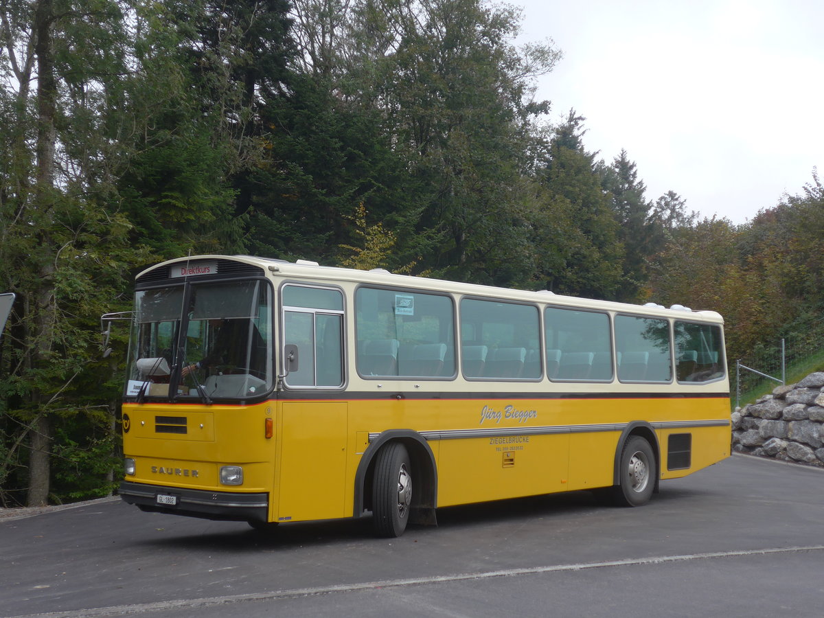 (221'974) - Biegger, Uster - Nr. 9/GL 1802 - Saurer/R&J (ex P 24'366) am 18. Oktober 2020 in M�hlr�ti, Hulftegg