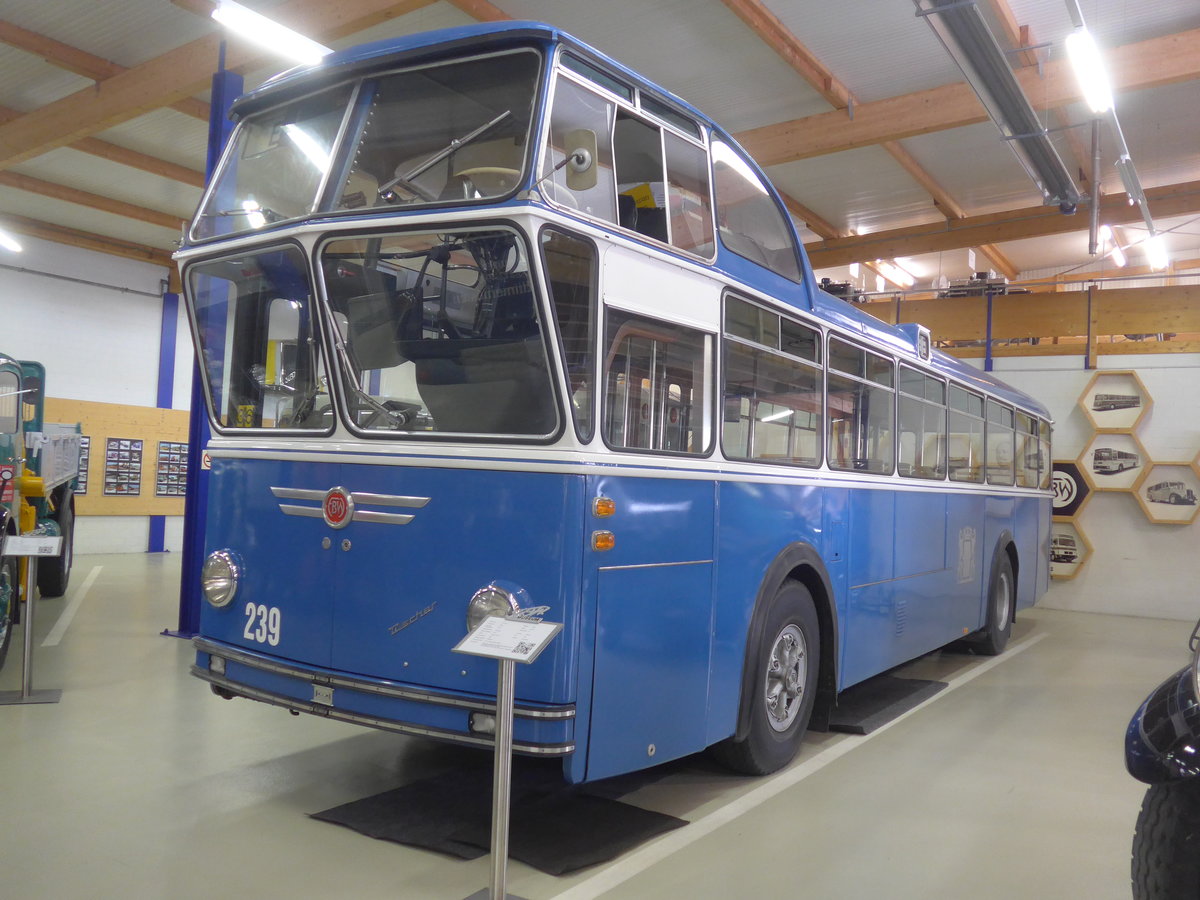 (221'987) - VBZ Z�rich (FBW-Club) - Nr. 239 - FBW/T�scher Hochlenker (ex Kamm, Schlieren; ex VBZ Z�rich Nr. 239; ex VBZ Z�rich Nr. 219) am 18. Oktober 2020 in Wetzikon, FBW-Museum