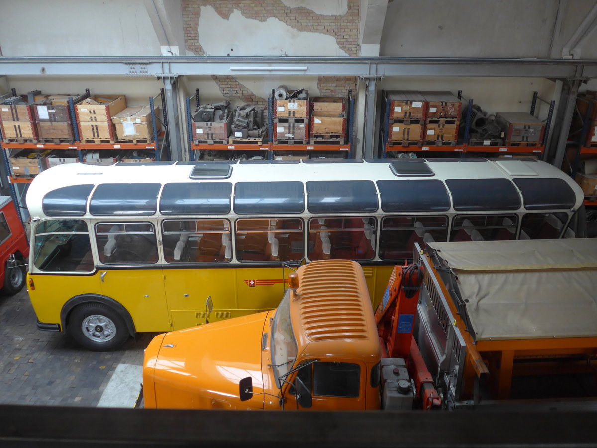 (222'284) - Oldtimer Club Saurer, Arbon - Saurer/Saurer (ex Ryffel, Z�rich; ex M+79'500; ex P 24'136; ex P 21'736) am 21. Oktober 2020 in Arbon, Saurermuseum Depot