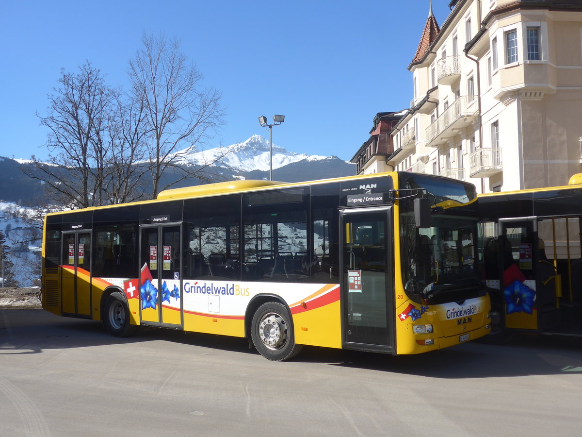 (223'840) - Grindelwaldbus, Grindelwald - Nr. 20/BE 349'361 - MAN/G�ppel am 28. Februar 2021 beim Bahnhof Grindelwald