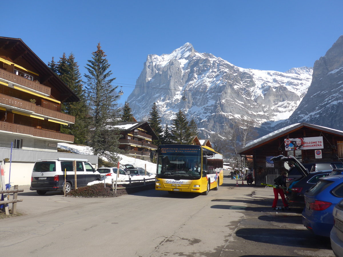 (223'866) - Grindelwaldbus, Grindelwald - Nr. 19/BE 363'305 - MAN/G�ppel am 28. Februar 2021 in Grindelwald, Terrassenweg