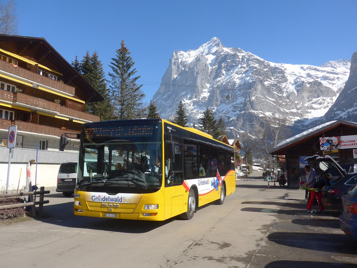 (223'867) - Grindelwaldbus, Grindelwald - Nr. 19/BE 363'305 - MAN/G�ppel am 28. Februar 2021 in Grindelwald, Terrassenweg