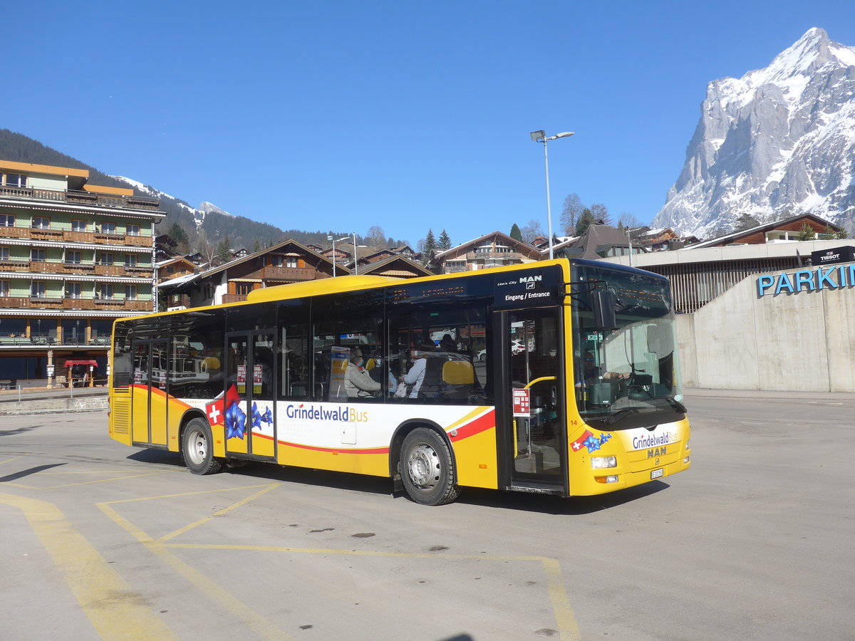 (223'881) - Grindelwaldbus, Grindelwald - Nr. 14/BE 202'568 - MAN/G�ppel am 28. Februar 2021 beim Bahnhof Grindelwald