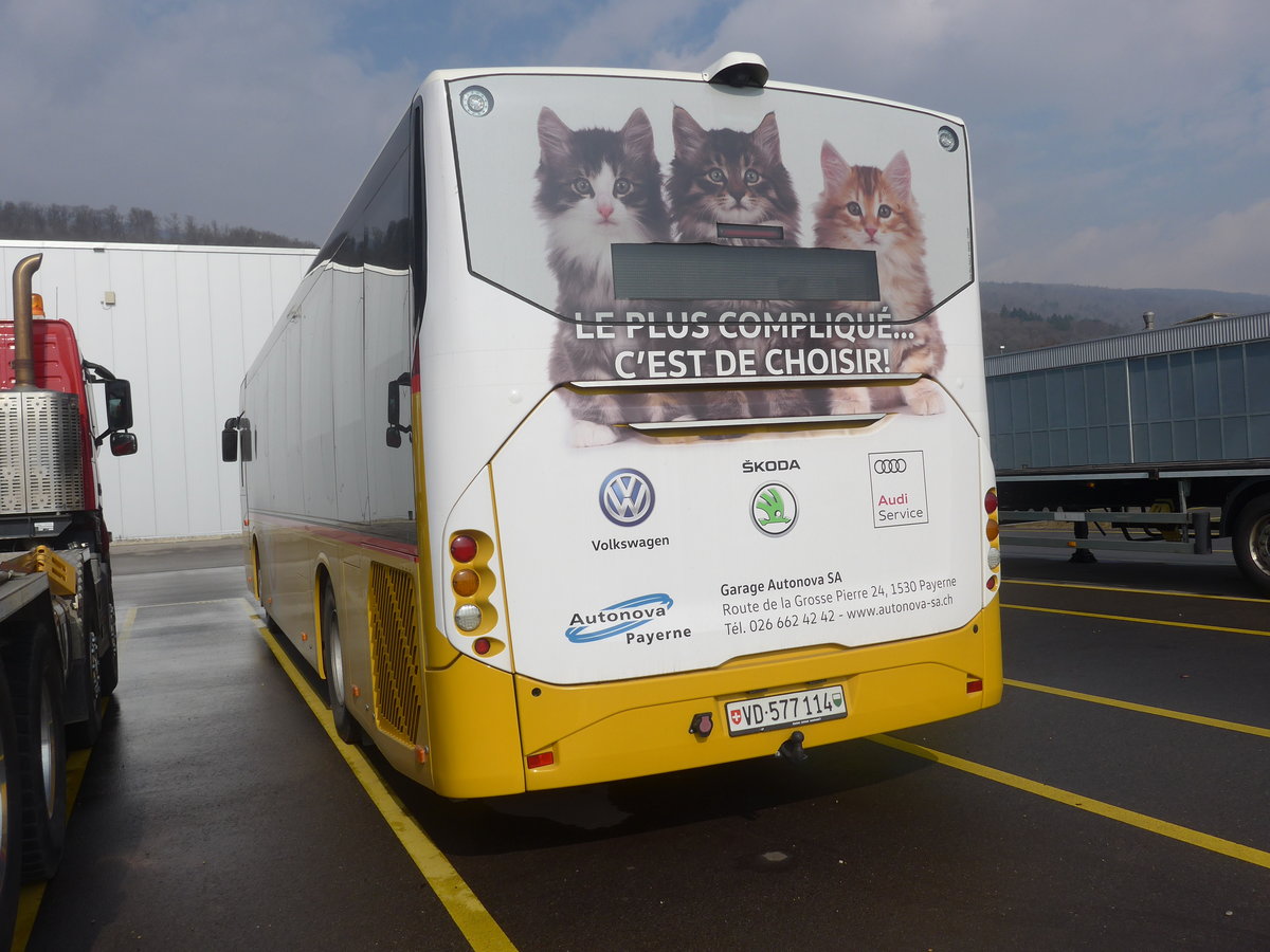 (224'010) - CarPostal Ouest - VD 577'114 - Volvo (ex Favre, Avenches) am 7. M�rz 2021 in Cornaux, Truck Center