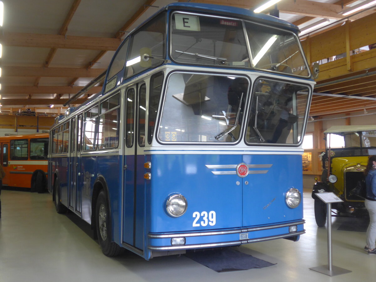 (225'783) - VBZ Z�rich (FBW-Club) - Nr. 239 - FBW/T�scher Hochlenker (ex Kamm, Schlieren; ex VBZ Z�rich Nr. 239; ex VBZ Z�rich Nr. 219) am 6. Juni 2021 in Wetzikon, FBW-Museum