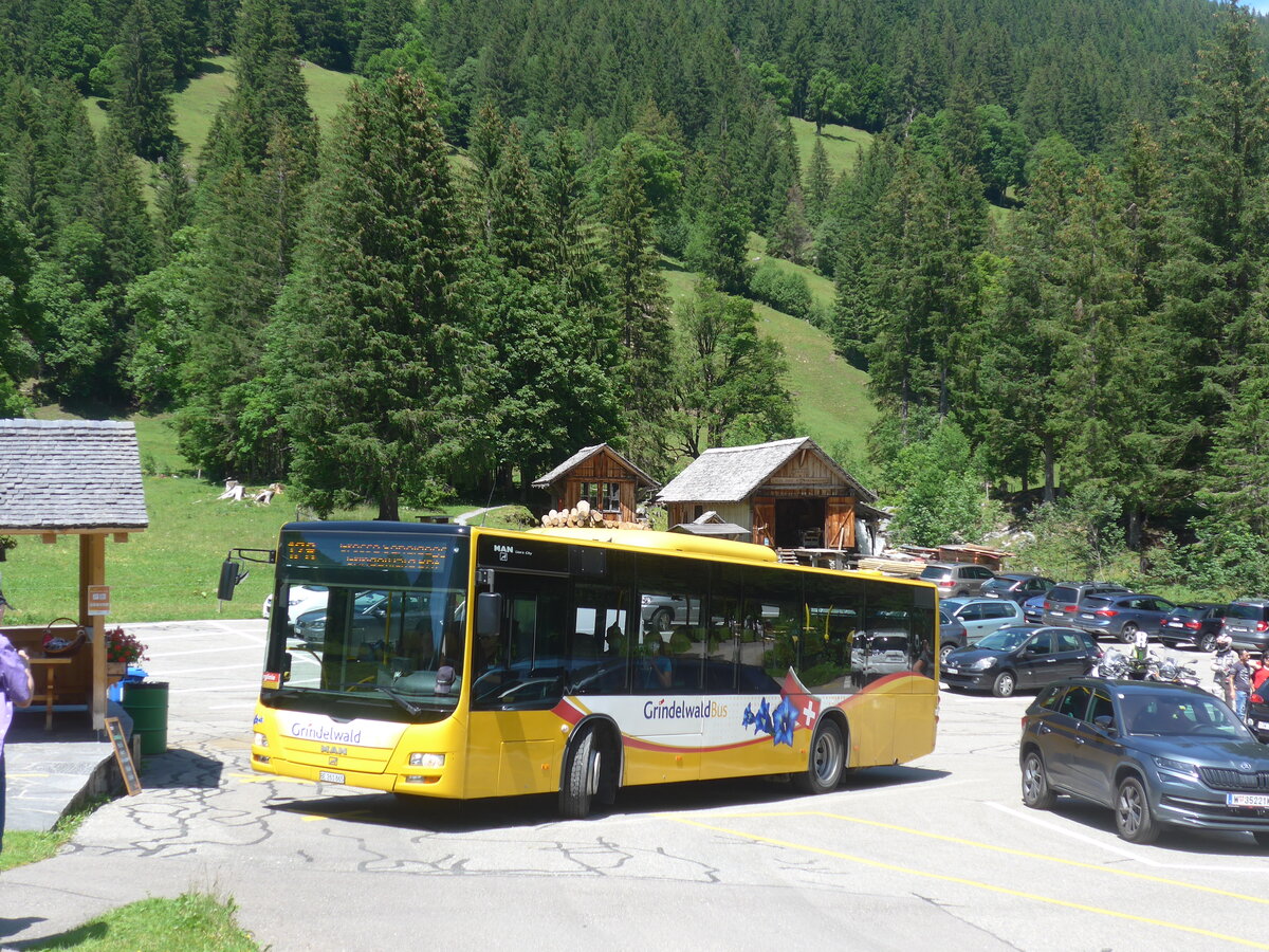 (226'269) - Grindelwaldbus, Grindelwald - Nr. 11/BE 261'865 - MAN/G�ppel am 10. Juli 2021 auf der Schwarzwaldalp