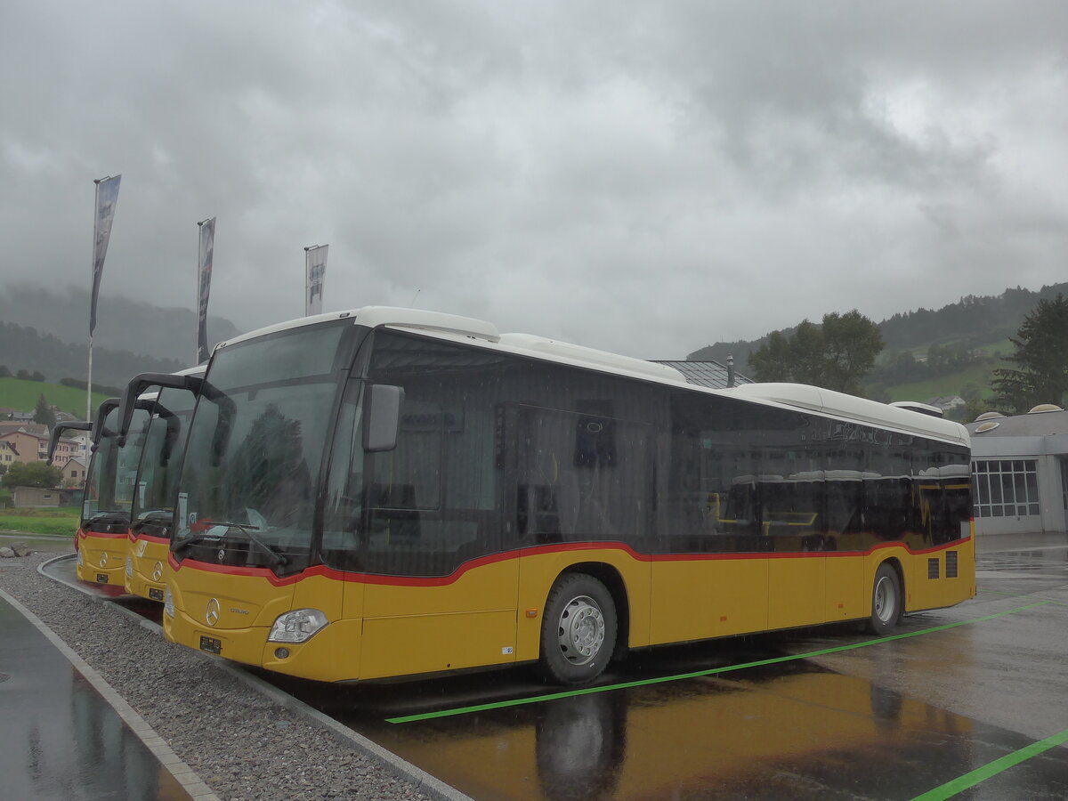 (228'135) - PostAuto Graub�nden - PID 11'659 - Mercedes am 19. September 2021 in Nesslau, Altherr