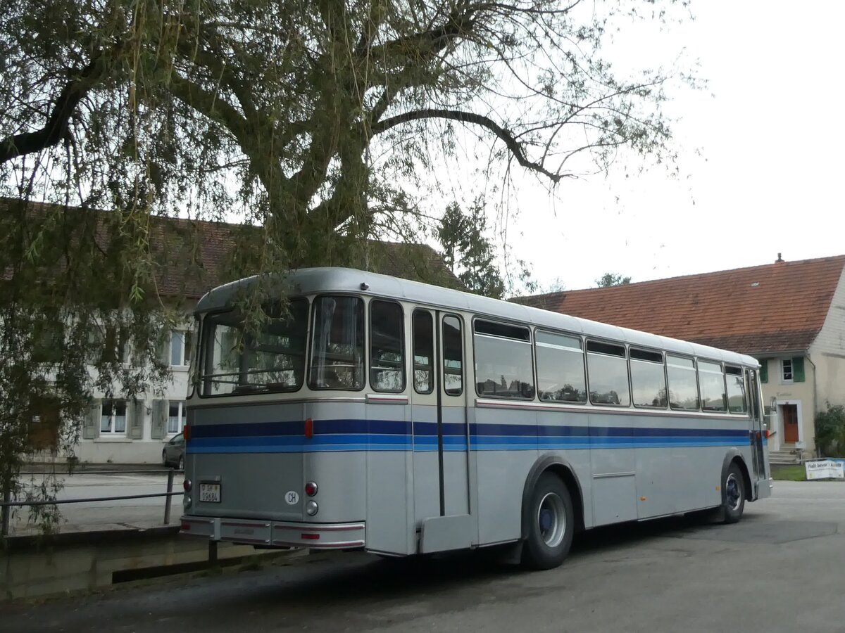 (228'412) - Borer, Neuhausen - SH 19'684 - Saurer/T�scher (ex Sch�ttler, D-K�ln; ex Braun, D-M�nster; ex Schmid, Hemishofen; ex Br�tsch, B�ttenhard; ex ASS Schleitheim Nr. 8) am 26. September 2021 in Beggingen, Dorf