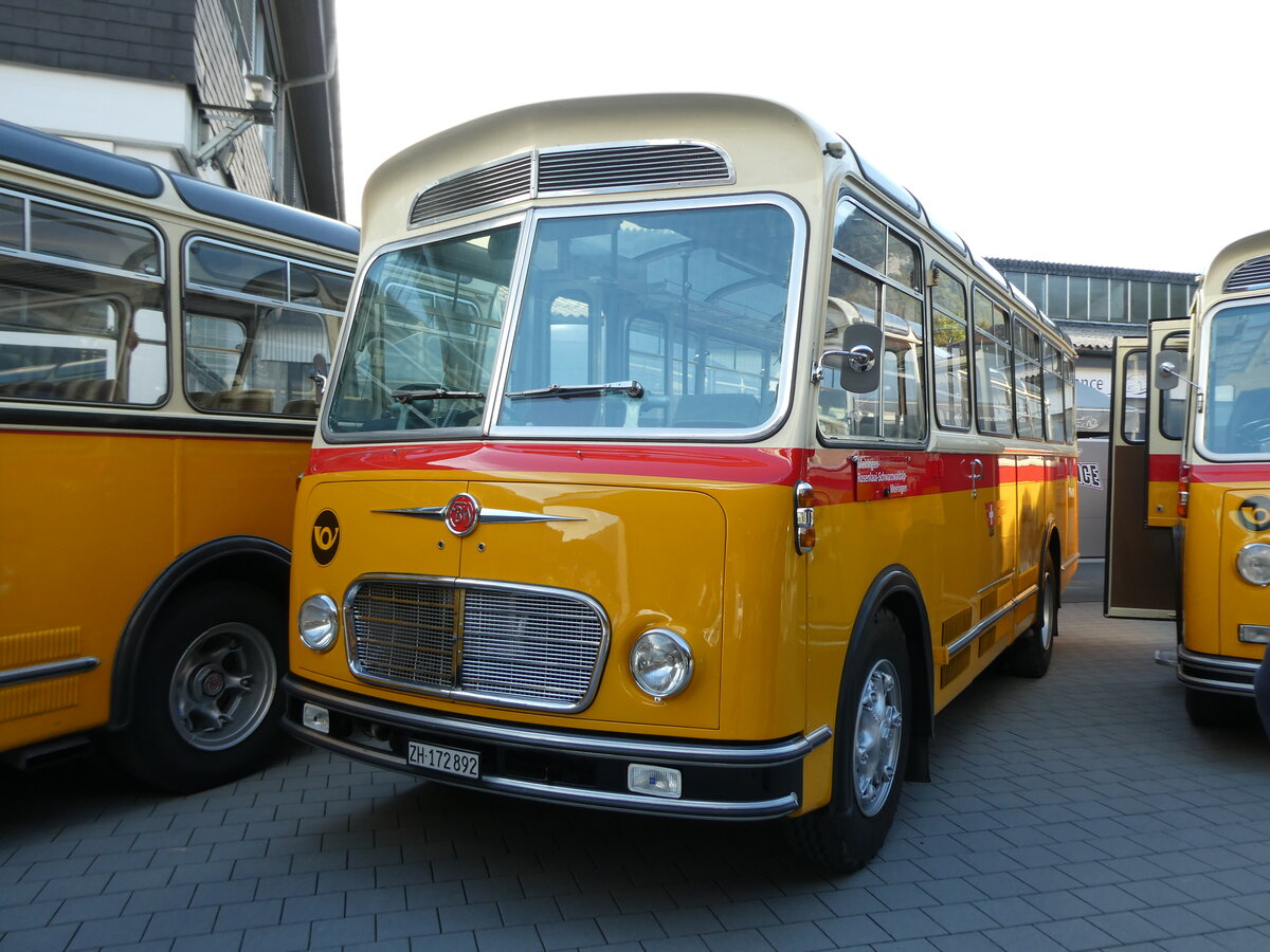 (228'510) - Stutz, Jonen - ZH 172'892 - FBW/FHS (ex Kellenberger, Heerbrugg; ex Schnider, Engelburg; ex P 23'207; ex P 21'007) am 2. Oktober 2021 in N�fels, FBW-Museum