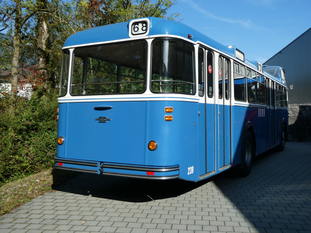 (228'526) - VBZ Z�rich (FBW-Club) - Nr. 239 - FBW/T�scher Hochlenker (ex Kamm, Schlieren; ex VBZ Z�rich Nr. 239; ex VBZ Z�rich Nr. 219) am 2. Oktober 2021 in N�fels, FBW-Museum
