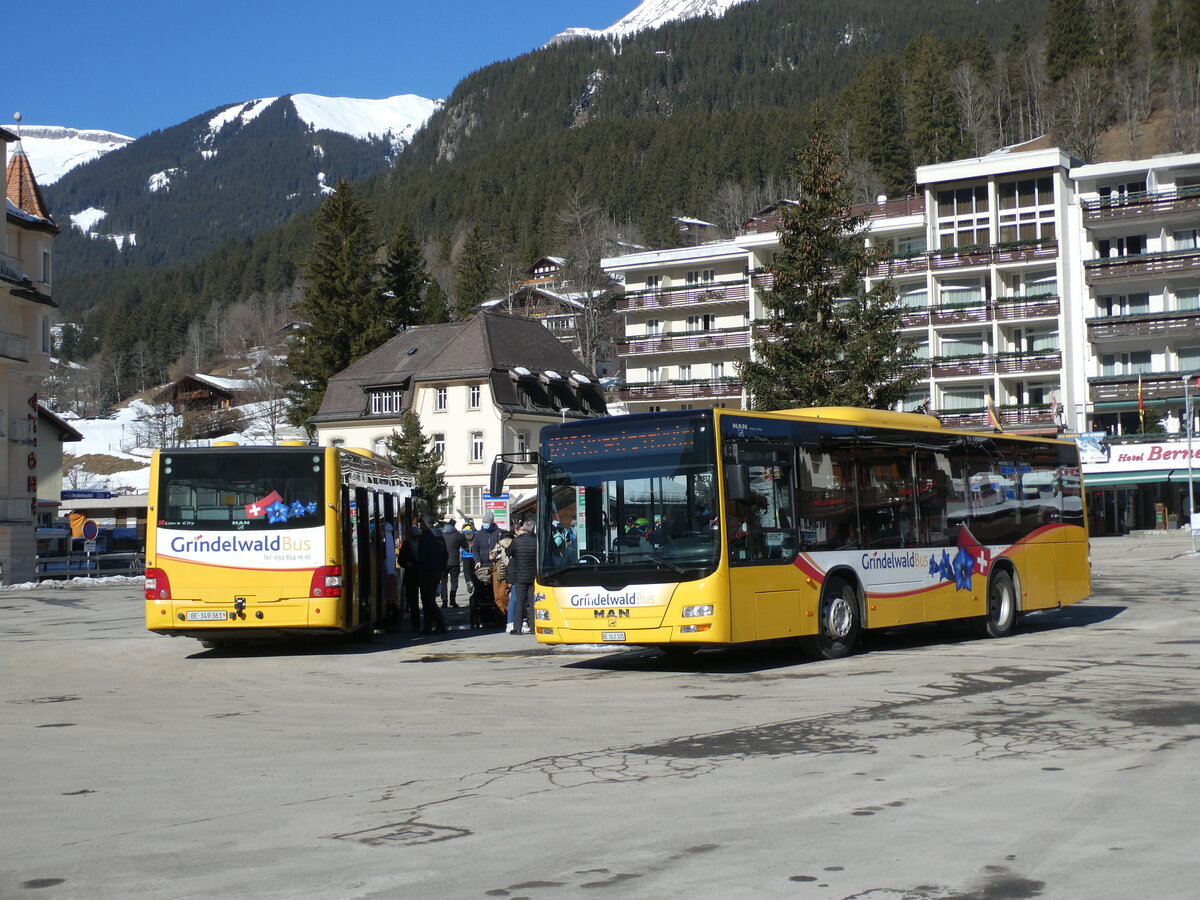(232'826) - Grindelwaldbus, Grindelwald - Nr. 20/BE 349'361 + Nr. 19/BE 363'305 - MAN/G�ppel am 13. Februar 2022 beim Bahnhof Grindelwald